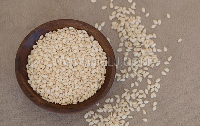 芝麻油壓榨處理設(shè)備，企鵝牌液壓榨油機(jī)勇于創(chuàng)新生產(chǎn)效率高(圖1)