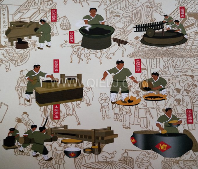 芝麻油提取加工，企鵝糧油機(jī)械生產(chǎn)色香味俱佳的油脂(圖2)